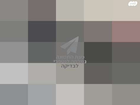 קורקינט