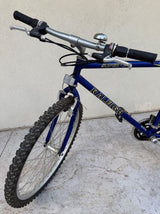 אופני הרים Raleigh 26״