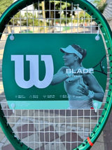 מחבט wilson blade team 101 v10