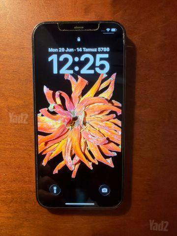 I phone12 pro max   256 GB