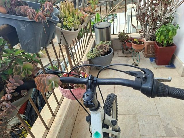 אופניים
