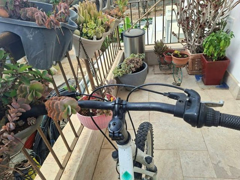 אופניים