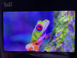 Samsung 65
