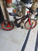 אופניים במגוון לילדים ובוגר