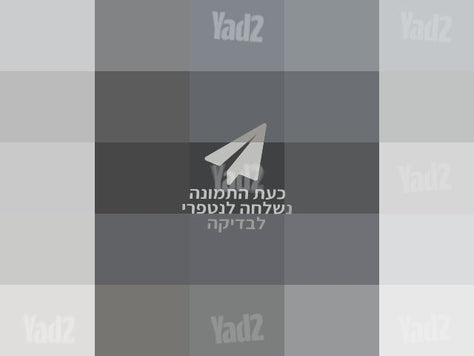 תנור אפיה עם גז דילונגי