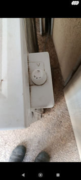 מקפיא/אפשרות להובלה?