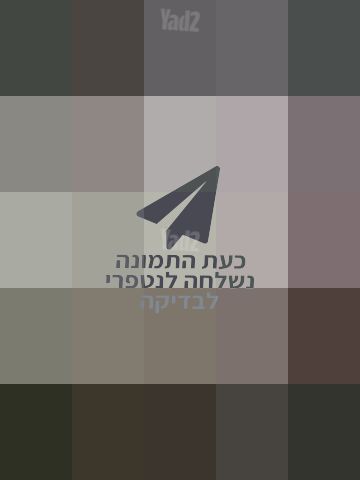 גיטרה כורט