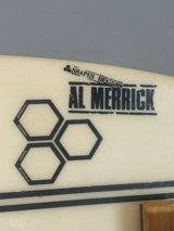 גלשן של AL MERRICK