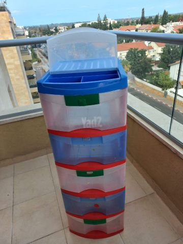 ארגונית