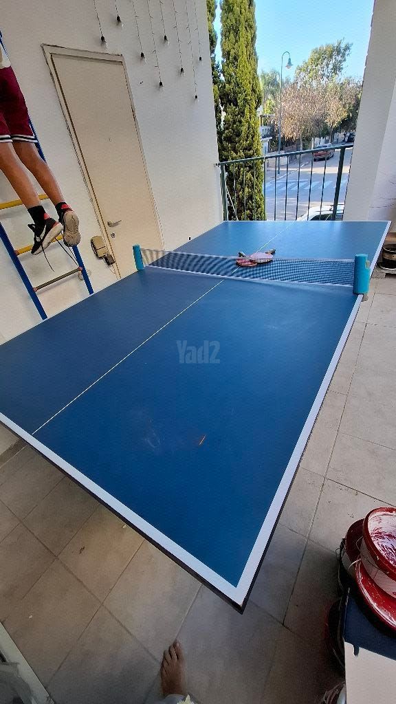 שולחן פינג פונג
