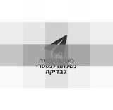 אורגנית ימאהה PSR E473