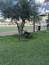 בניה חשמלית