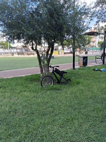 בניה חשמלית
