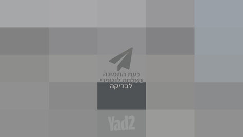 נגן סייס 3