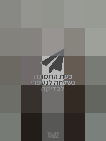 פאה