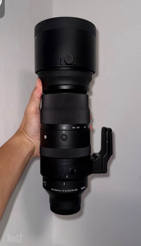 Sigma 150-600 Sony
