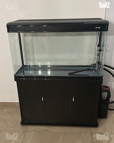 אקווריום דגים