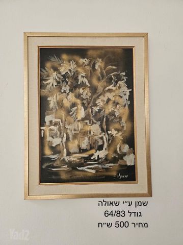 מבחר תמונות
