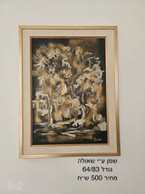 מבחר תמונות