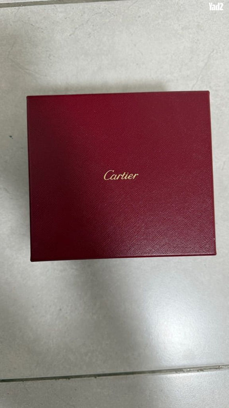 Cartier Santos de Cartier