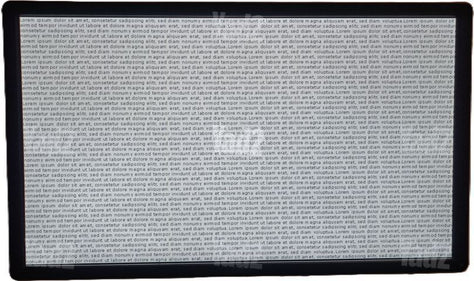 Dell 24 -QHD 2560 × 1440
