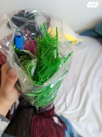 אקווריום מים