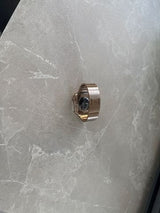 Apple watch titanium