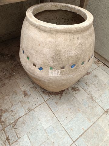 כד