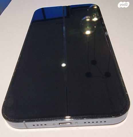 iPhone 13 Pro Max 1 TB
