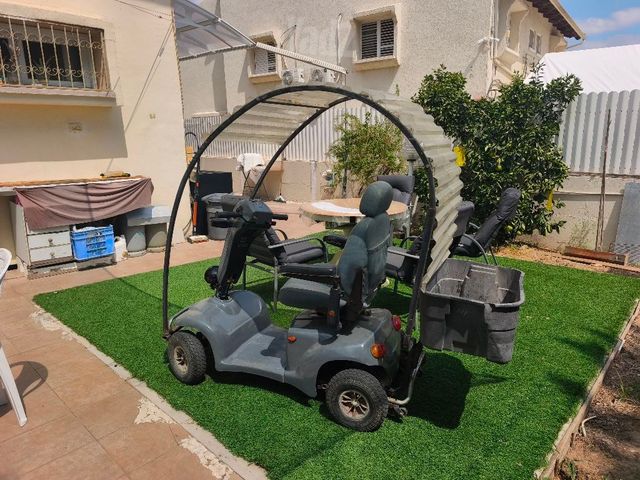 קלנועית