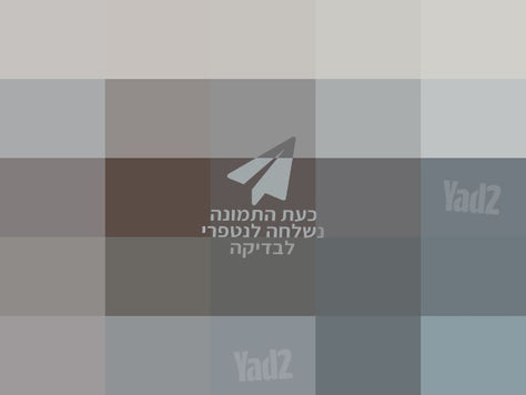 מצלמת קנון   175 IXUS
