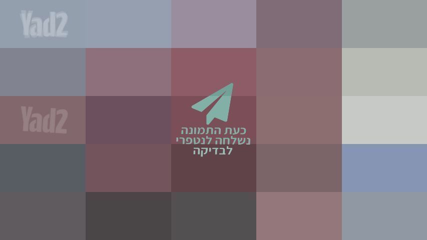 מציאה אופני פעלולים GT
