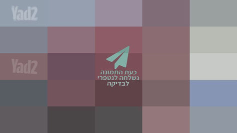 מציאה אופני פעלולים GT