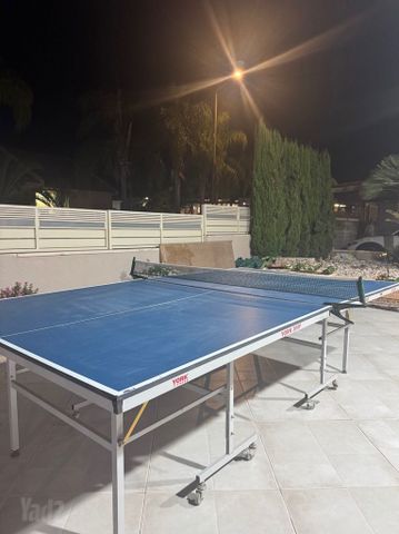 שולחן פינג פונג