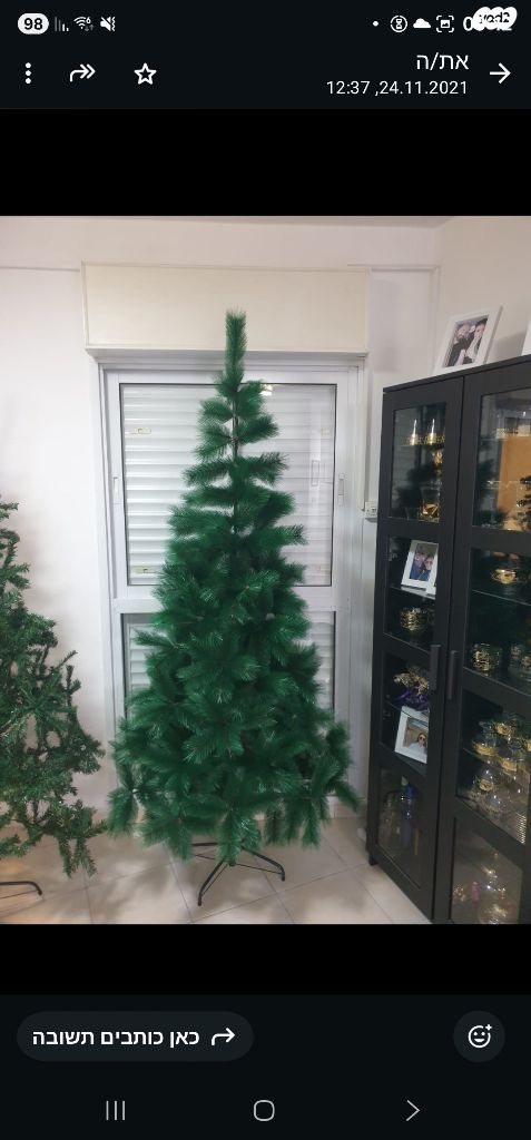 עץ חג מולד