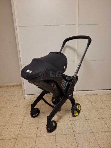 עדלת דונה