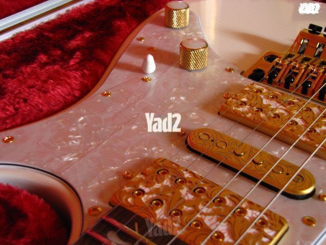 Steve Vai "PIA" signature