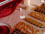 Steve Vai "PIA" signature