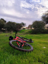 אופני הרים DIAMONDBACK 29