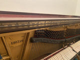 STEINWAY