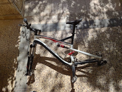 שלדת Specialized Chamber 2011
