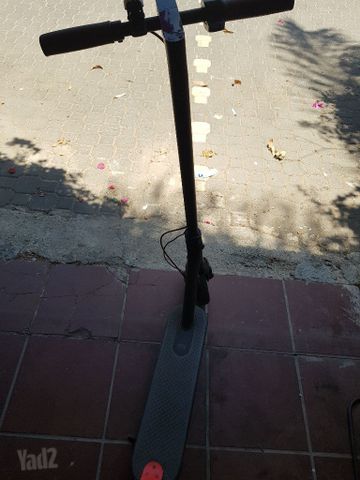 קורקינייט