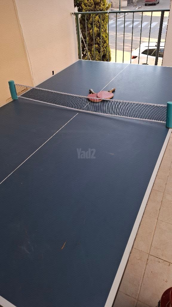 שולחן פינג פונג