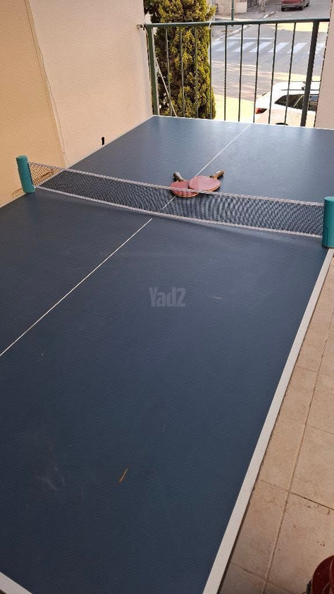 שולחן פינג פונג