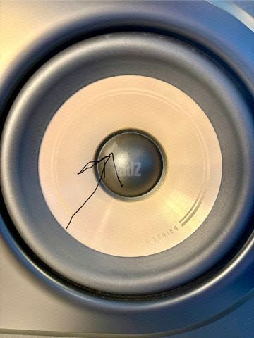 Polk Elite Signature ES30 סנטר