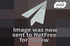 שטריימל