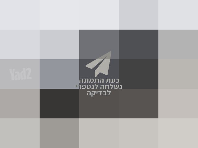 ממונעים