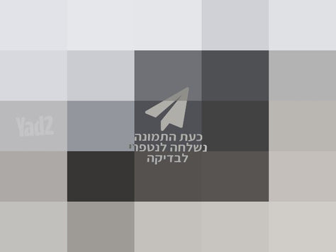 ממונעים