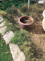 כדים ואדניות