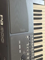 Korg pa600